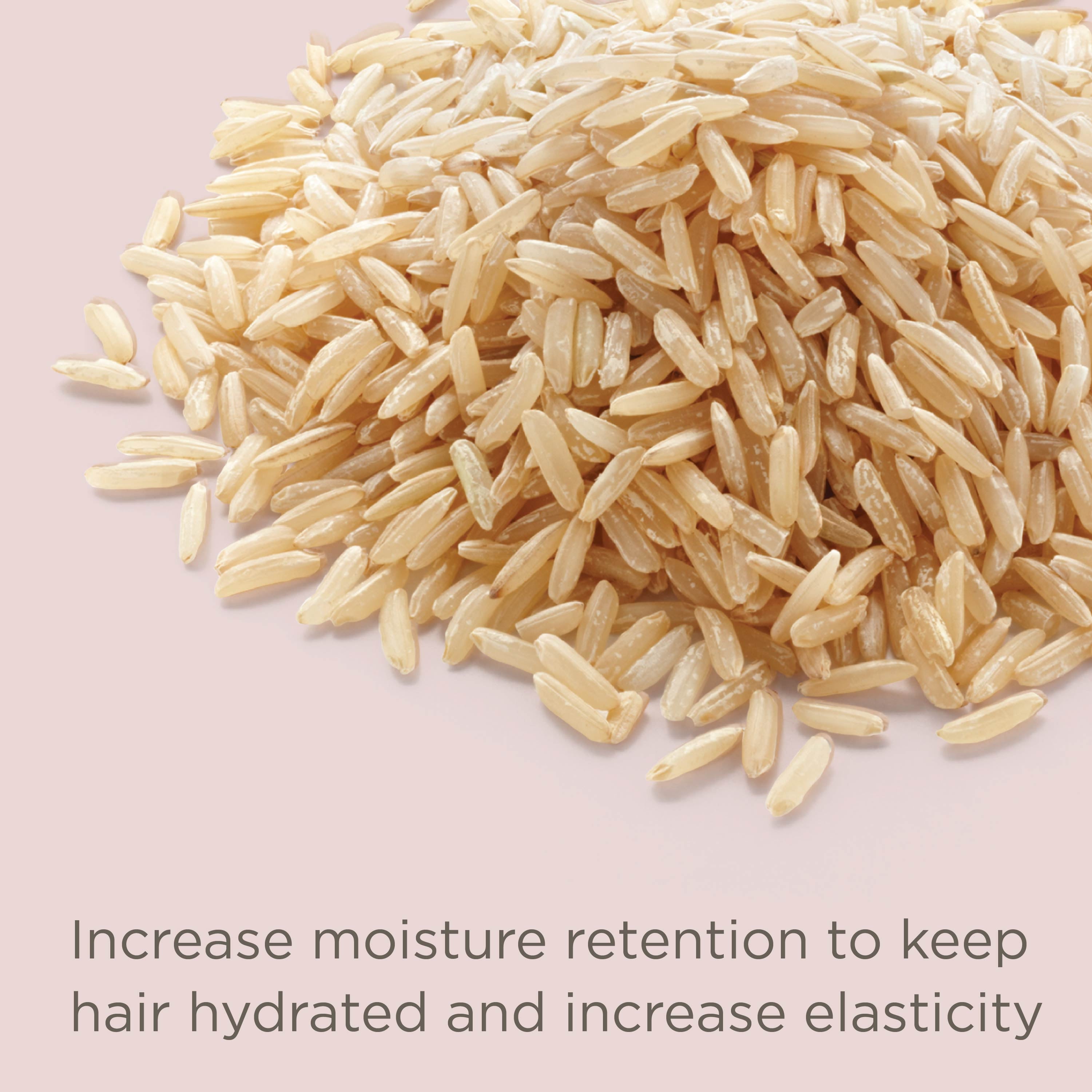 Rice Water Scalp Cleansing Treatment Rinse, 8 Oz